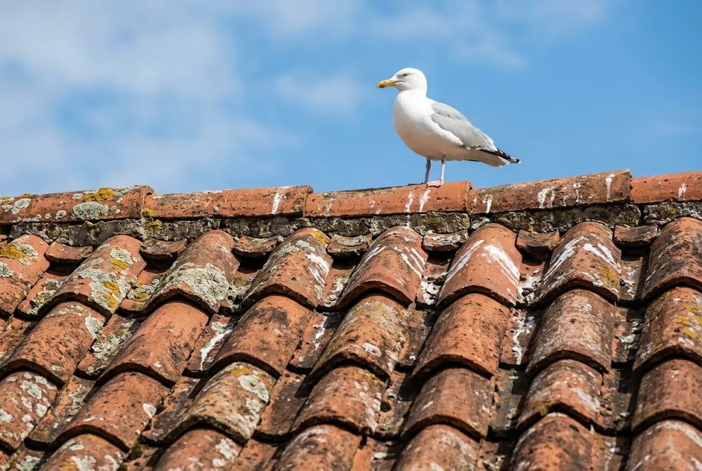 Roofers In Bournemouth 3