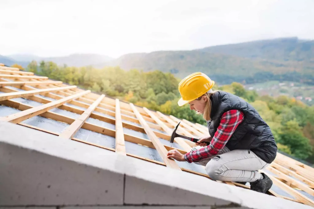 Roofing Feature